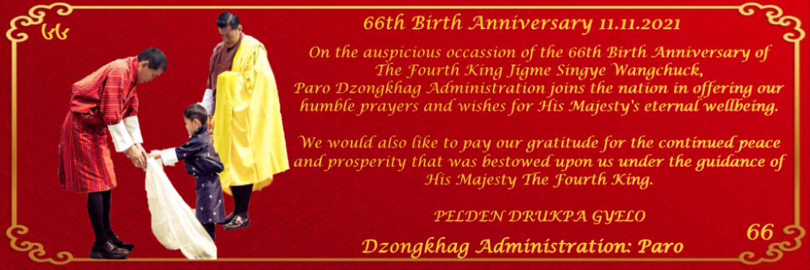 66th birth anniversary